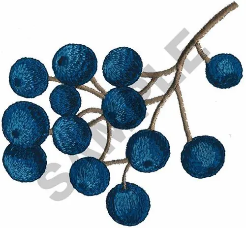 Professional Grade BLUEBERRIES Embroidery Design
