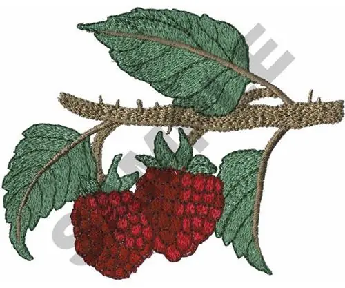 Trending RASPBERRIES Embroidery Design
