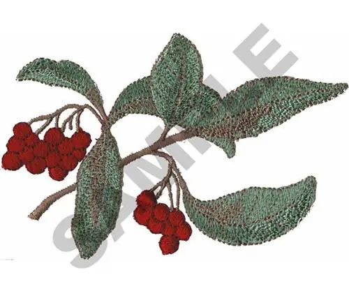 Special Discount CHERRIES Embroidery Design