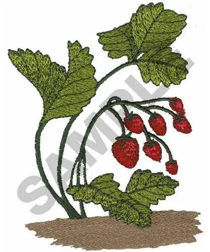 Buy Online STRAWBERRIES Embroidery Design