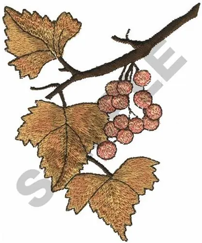 Last Chance BERRIES Embroidery Design