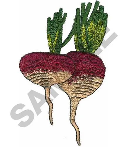 TURNIPS Embroidery Design Handmade