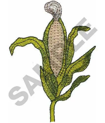 Place Order CORN STALK Embroidery Design