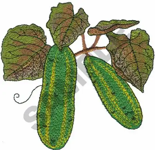 CUCUMBERS Embroidery Design Buy Online