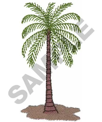 Fast Shipping PALM TREE Embroidery Design