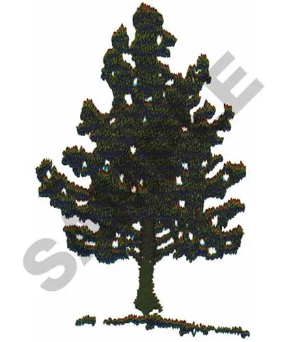 Bargain ELM TREE Embroidery Design