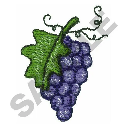 Shop Now GRAPES Embroidery Design