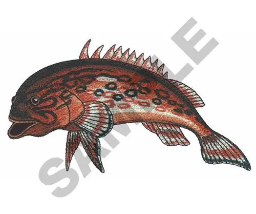 Warranty Included GAG GROUPER FISH Embroidery Design