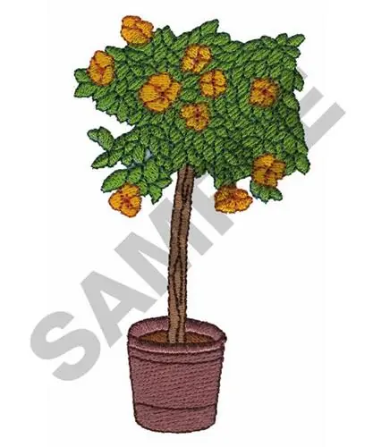 FLORAL TOPIARY Embroidery Design Place Order