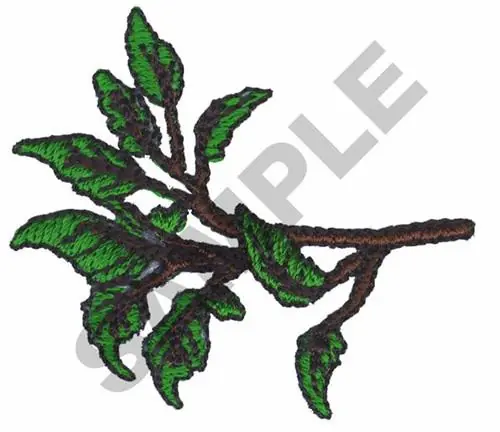TREE BRANCH Embroidery Design Time-Limited