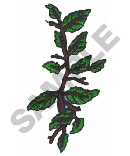 TREE BRANCH Embroidery Design Next Day Delivery