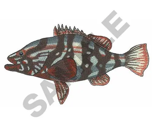 NASSAU GROUPER Embroidery Design Bulk Order