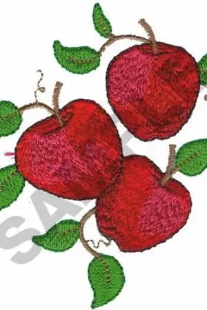 APPLES Embroidery Design Factory Price