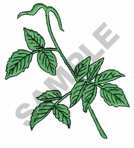 Authentic Leaves Embroidery Design