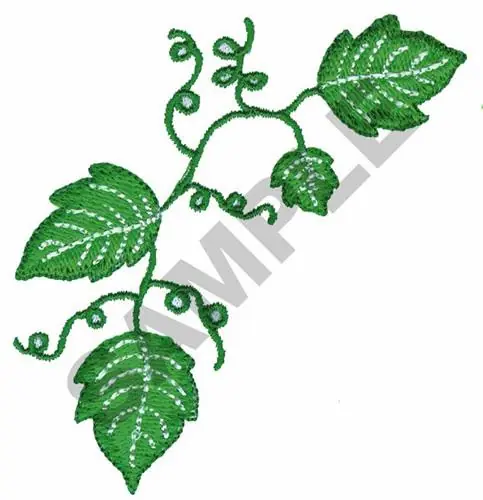 VINE BORDER Embroidery Design Bargain
