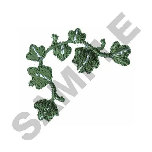 Buy Today Vine Border Embroidery Design