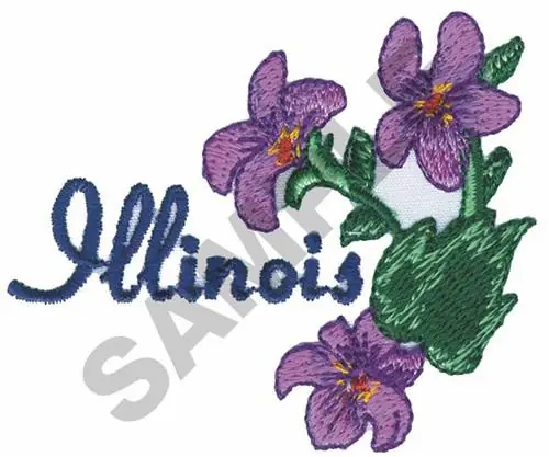 Next Day Delivery Illinois Embroidery Design