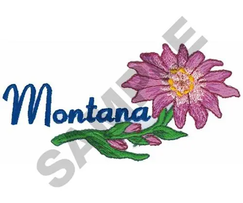 Montana Embroidery Design Buy Direct