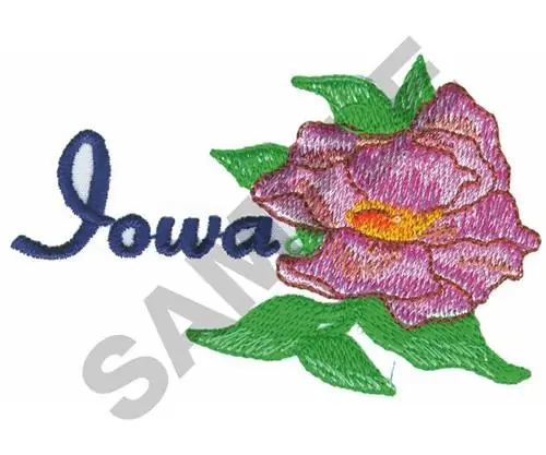 Clearance Iowa Embroidery Design