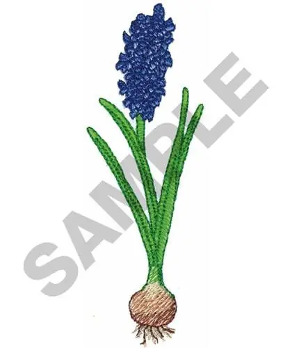 FLOWER BULB Embroidery Design Don’t Miss Out
