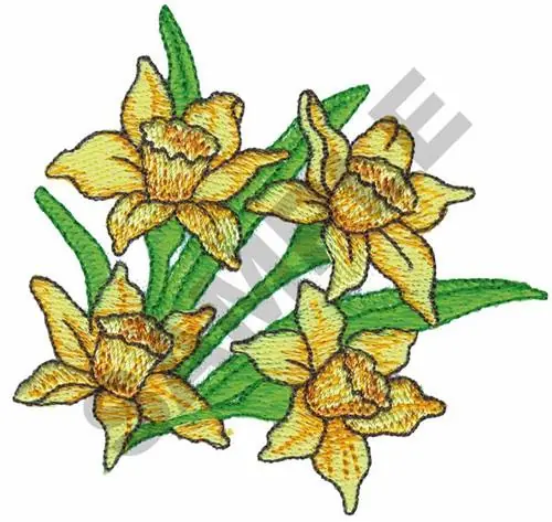 Latest DAFFODILS Embroidery Design