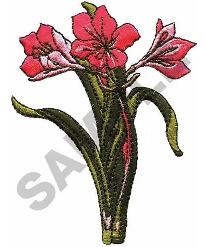 Don’t Miss Out PINK LILIES Embroidery Design