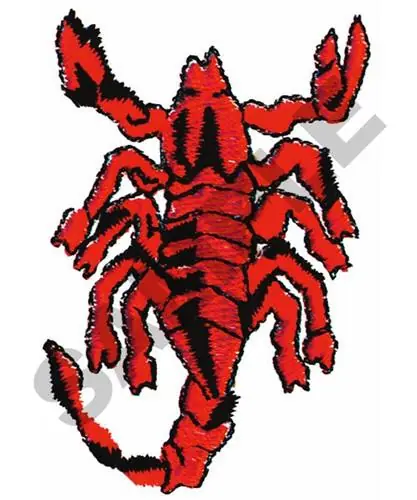 Authentic SCORPION Embroidery Design
