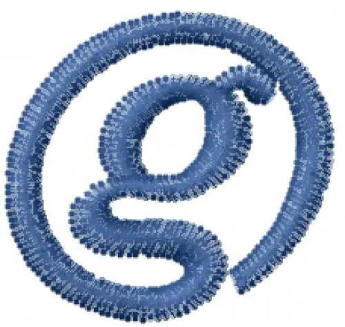 Authentic Arrobatherapy Font g Embroidery Design