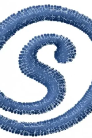 Arrobatherapy Font S Embroidery Design Free Delivery