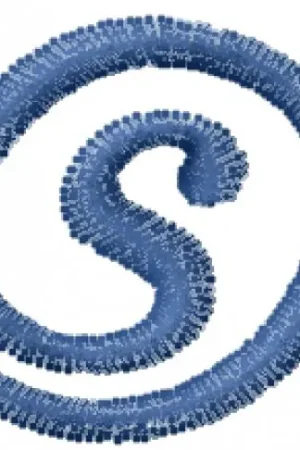 Arrobatherapy Font s Embroidery Design Budget