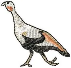Reduced Price Turkey Hen Embroidery Design