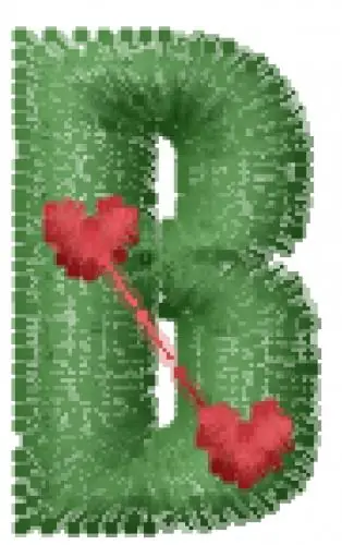 Love Letters B Embroidery Design Buy Today