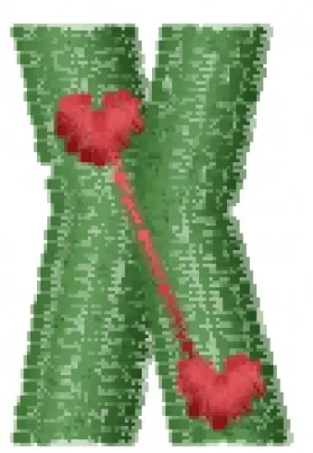 One Day Deal Love Letters X Embroidery Design