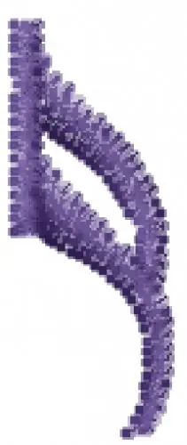 Final Sale Music Symbol Font k Embroidery Design