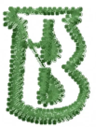 Instant Buy Degrassi Font b Embroidery Design