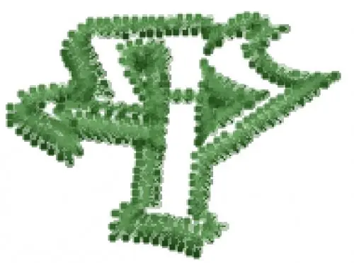 Degrassi Font P Embroidery Design Best Seller