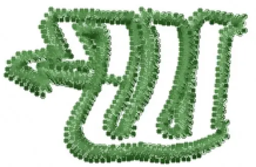 Degrassi Font W Embroidery Design Professional Grade