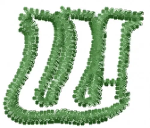 Degrassi Font w Embroidery Design Deal