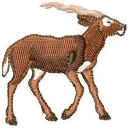 Zebu Embroidery Design Low Price