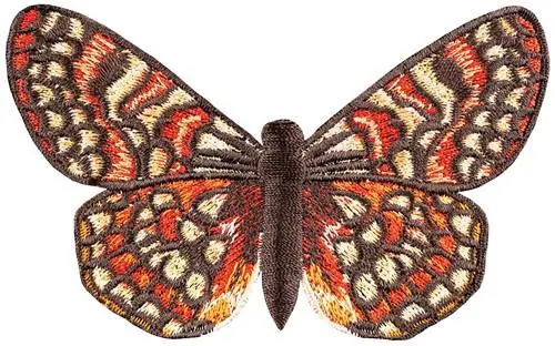 Phyciodes Augusta small Embroidery Design One Day Deal