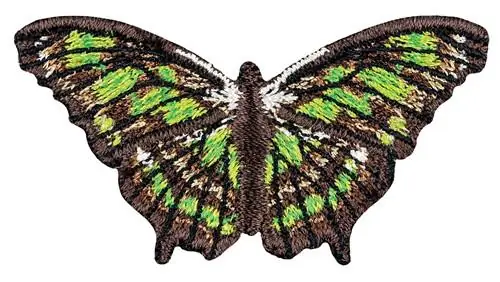 Siproeta Stelenes small Embroidery Design Buy Today