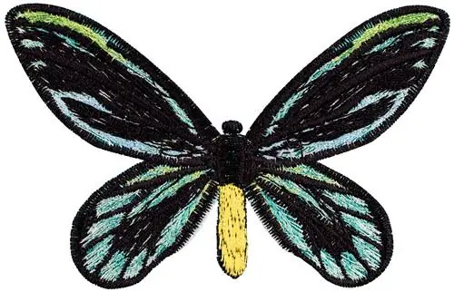 Hot Deal Ornithoptera Alexandrae small Embroidery Design