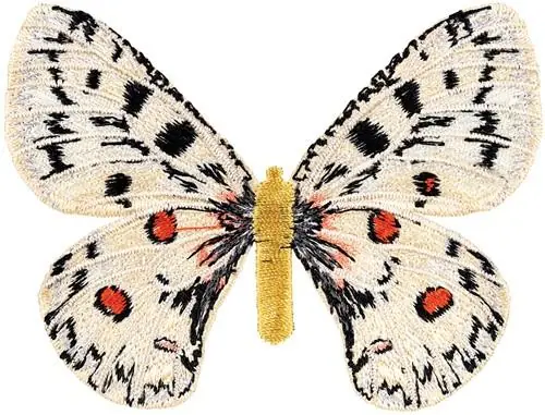 Parnassius Apollo small Embroidery Design Modern