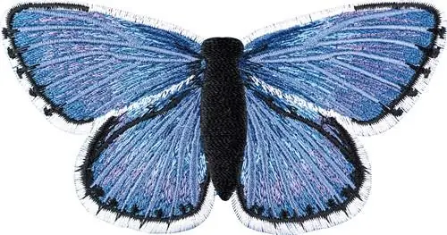 Polyommatus small Embroidery Design Factory Price