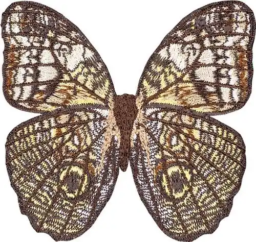 Caligo Idomeneus small Embroidery Design Hassle-Free Returns