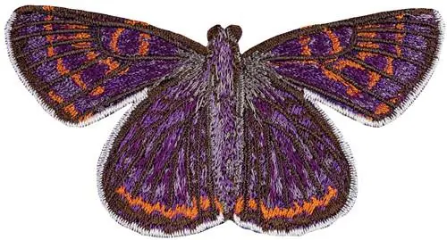 Shop Now Plebejus Acmom small Embroidery Design