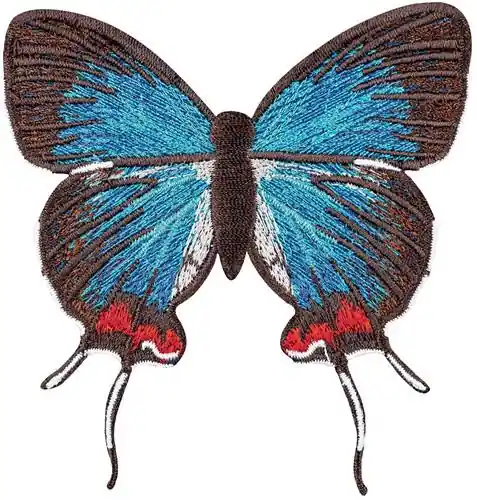 Thecia Coronata small Embroidery Design Reduced Price