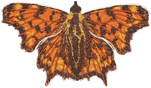 Comma small Embroidery Design Place Order