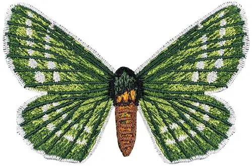 Hipparchus Papilionaruis small Embroidery Design Premium