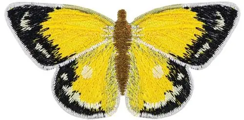 Colias Croceus small Embroidery Design New Release